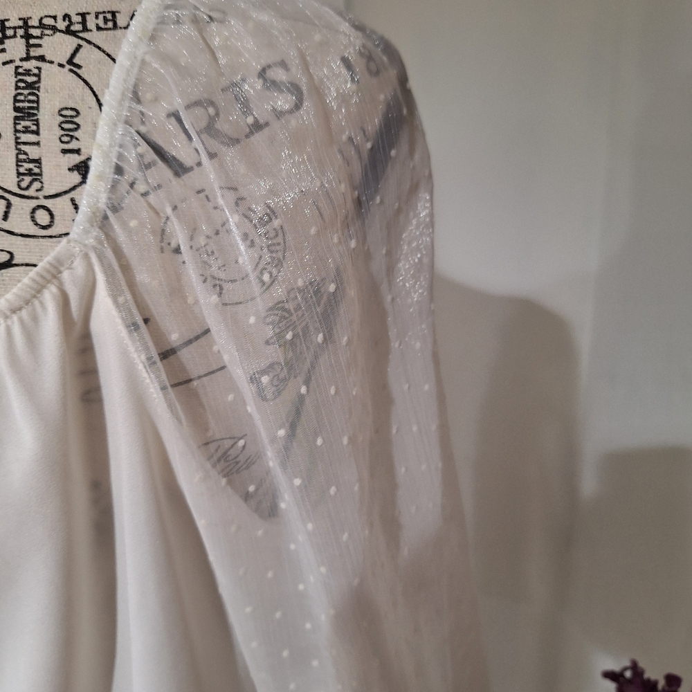 Banana Republic White Blouse with Sheer  Sleeves